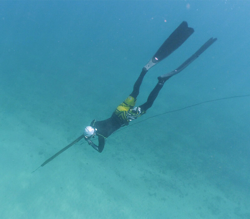 enovas-spearfishing